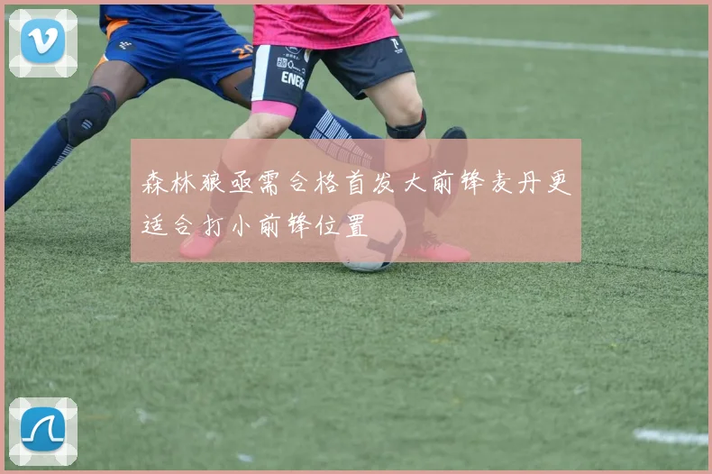 森林狼亟需合格首发大前锋麦丹更适合打小前锋位置