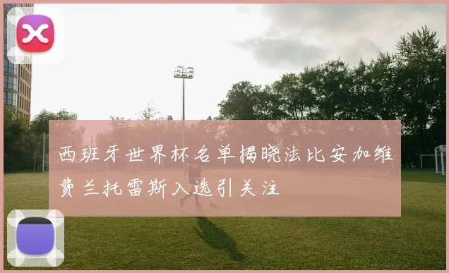 西班牙世界杯名单揭晓法比安加维费兰托雷斯入选引关注